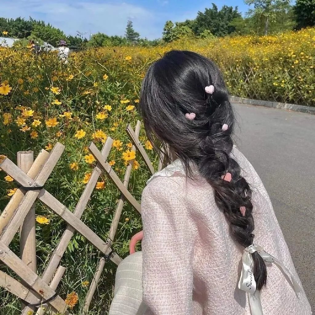 山有木兮木有心
